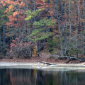 Uncovering the Hidden Gems of Cobb County, Georgia